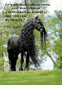 Black beauty Horse quote copy