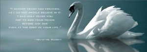 White Swan reflection Gandhi quote
