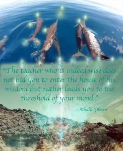 Pamela collaborating images dolphins 3 Khalil quote